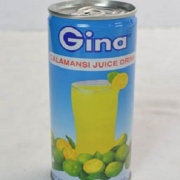Gina CALAMANSI Juice Drink 30x250ml