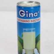 Gina GUYABANO Nectar 30x240ml